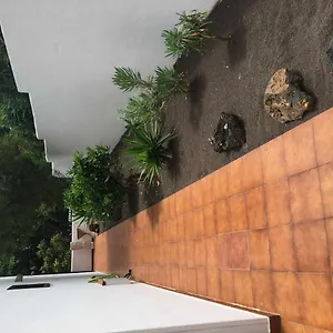 Con Jardín Y Piscina B , Puerto de la Cruz (Tenerife) España